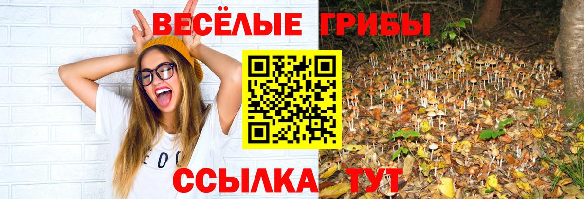 Галлюциногенные грибы Magic Shrooms Соликамск