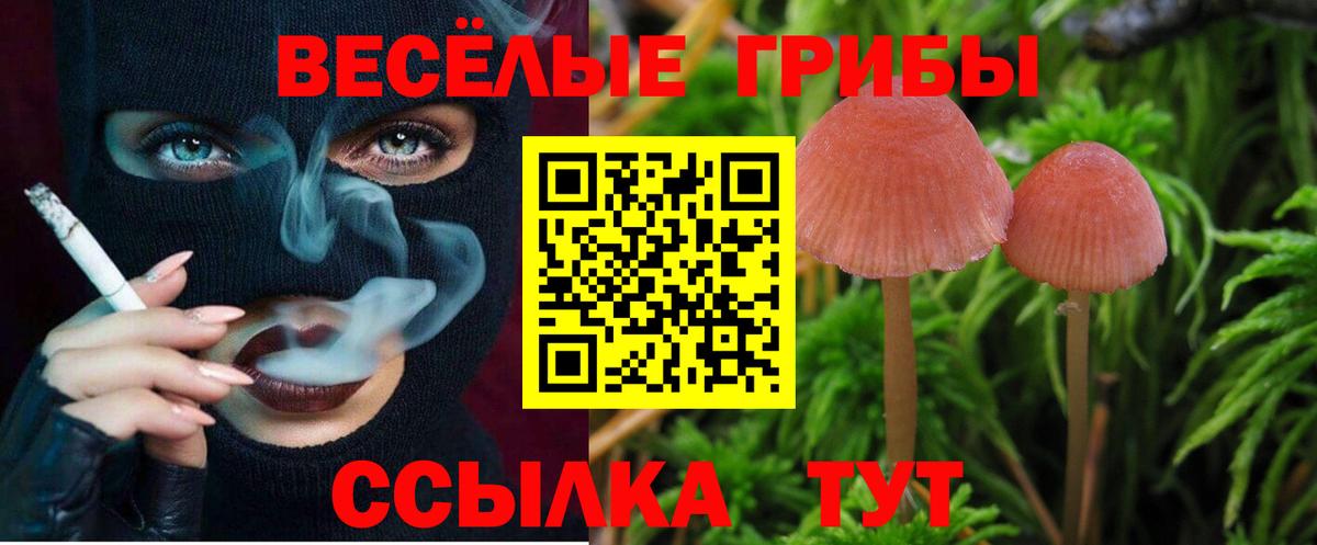 что такое   Псилоцибиновые грибы Psilocybine cubensis  Вход с VPN  Соликамск 