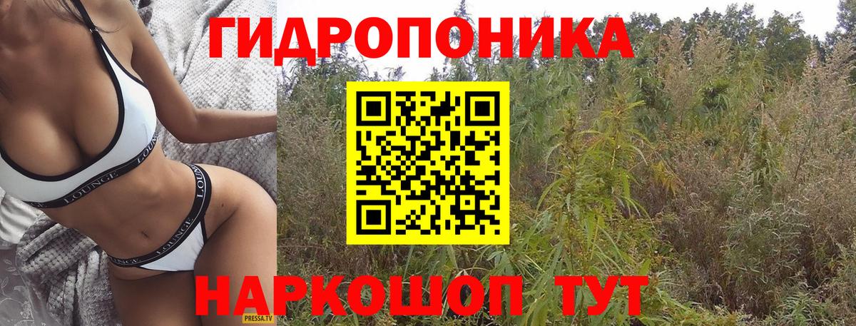 Шишки марихуана план Соликамск